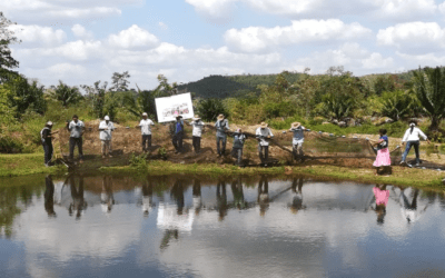 Gestión de proyectos